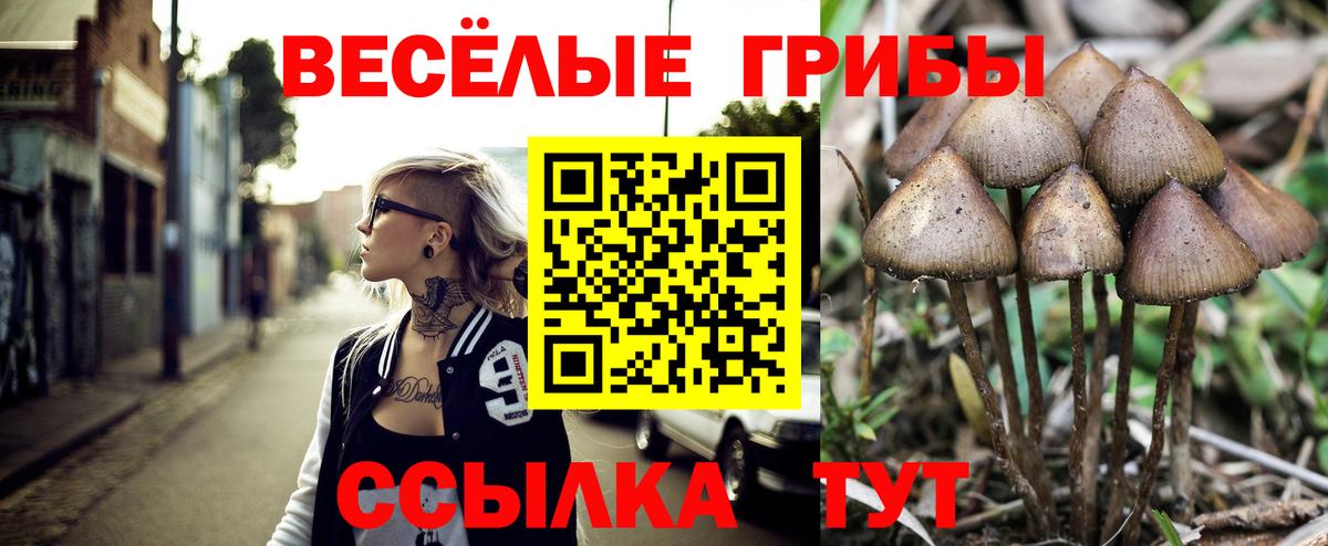 Галлюциногенные грибы Psilocybine cubensis  Вход с VPN  Торжок 