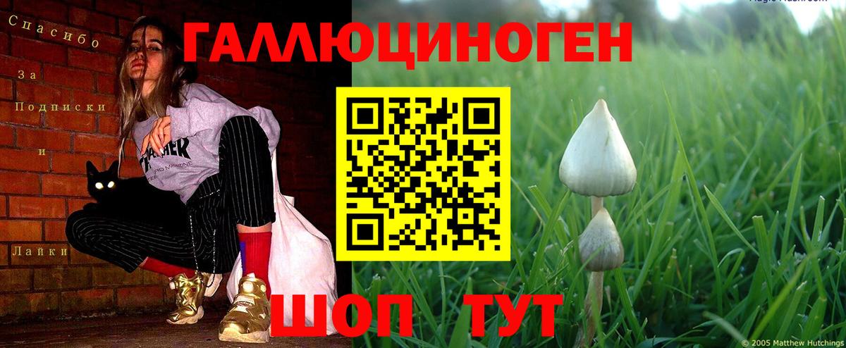 Псилоцибиновые грибы ЛСД Торжок