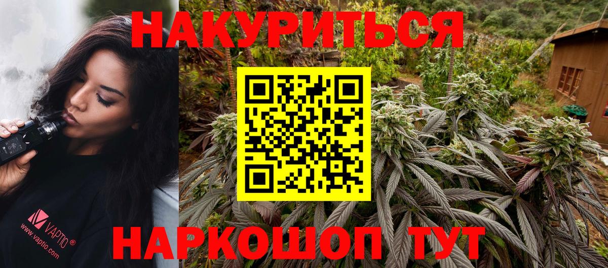Каннабис план Торжок